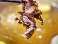 顺和清汤锅-陈记顺和牛肉火锅馆(天河北路店)