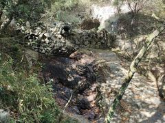 -宁波市保国寺古建筑博物馆