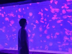 -波塞冬旅游度假区