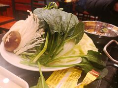 -蝎王府羊蝎子(北大地店)