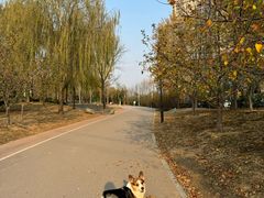 -坝河休闲公园