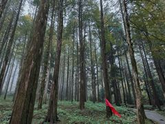 -罗田薄刀峰风景区