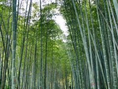 -南山风景名胜区