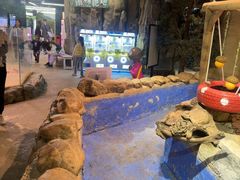 -正佳雨林生态植物园