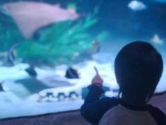 -沈阳海洋探索中心