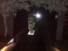 -璞·澐间影院式足道SPA(尚悦湾店)