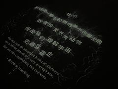 -深圳市当代艺术与城市规划馆
