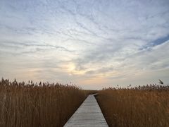 -野鸭湖国家湿地公园