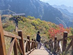 -大岭沟猕猴桃谷风景区