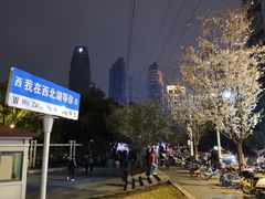 -西北湖绿化广场