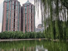 -团结湖公园