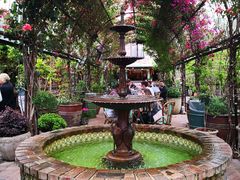 -The Grounds of Alexandria