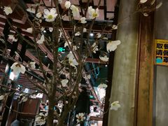 大堂-悟烧·自助烤肉料理(秋林旗舰店)