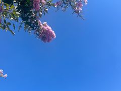 -龙坞茶村