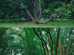 -杭州植物园