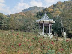 -广州市石门国家森林公园