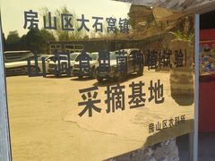 -仙蘑洞