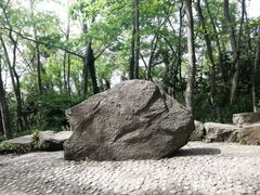 -上海佘山国家森林公园天马山园