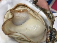 -渔家小院观海海肠捞饭地方菜(环海中路店)