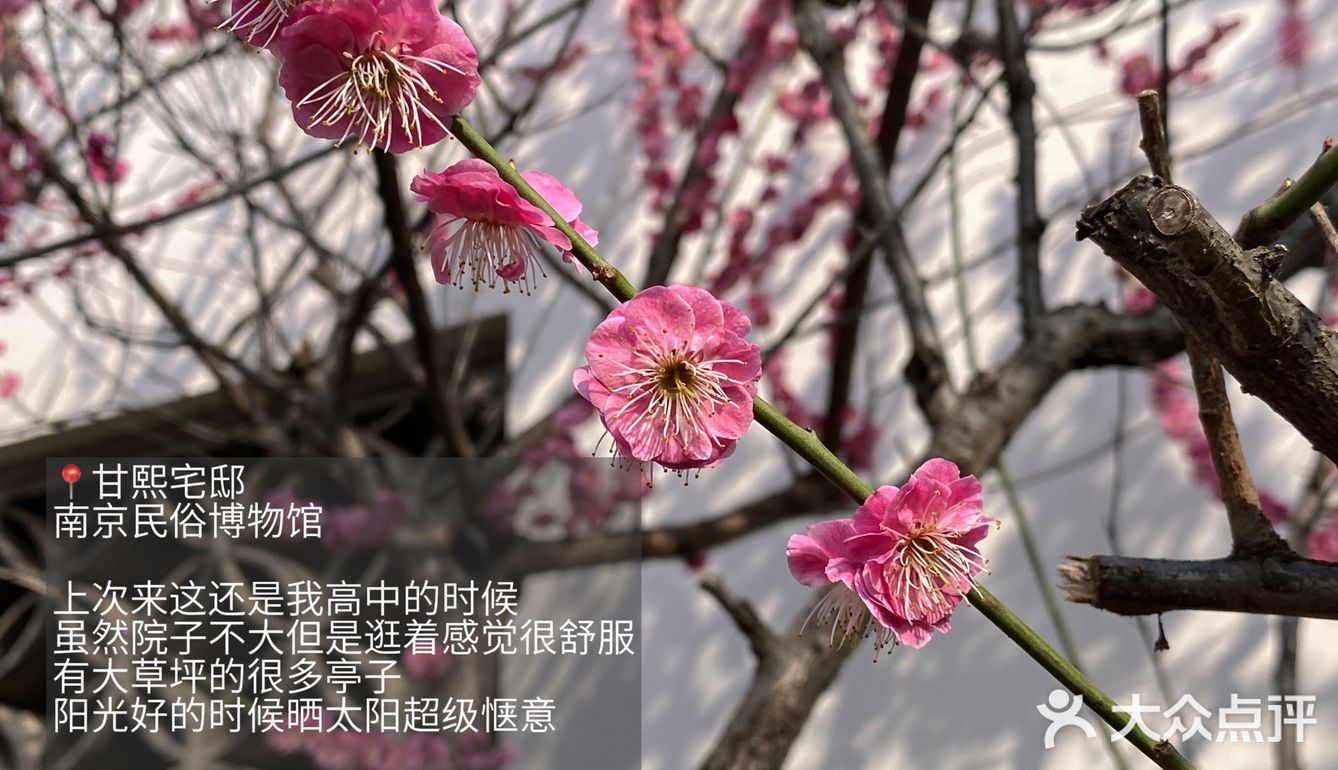 周末去哪玩｜库迪.熙南里.“赏花”