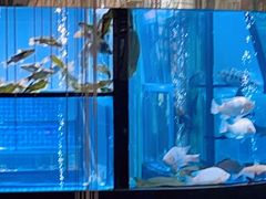-王家渡火锅店(棕榈泉店)