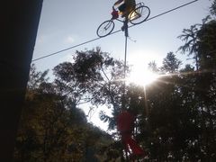 -九龙江国家森林公园