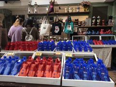 -猫咪博物馆(顶澳仔猫街店)