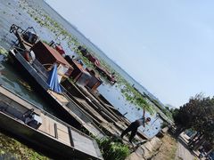 -莲花岛景区