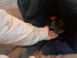 -青木造型HAIR·あおき髪を刈る潮人店