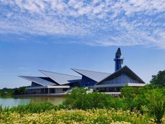 -盐城丹顶鹤湿地生态旅游区