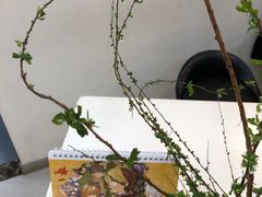 -帝京日语(春熙路旗舰校区)