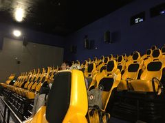 -上海海昌海洋公园-冰山北极馆