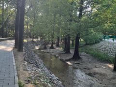 -白水寺森林公园