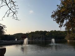 -广州莲花山旅游区