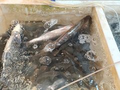-传统菜农庄(皇姑路店)