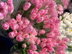 -循礼门鲜花花市(武汉循礼门店)