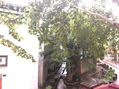 -猫的天空之城概念书店(杭州南宋御街店)