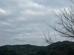 -广州市白云山风景名胜区
