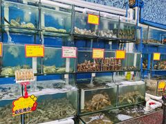 水产区-蚝专家(北滘店)