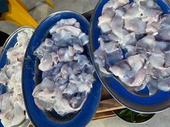 -鸿渡渔庄·特色鸭咀鱼