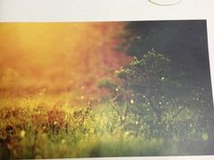 iphone_upload_pic-HOME餐厅粤菜 融合菜