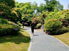 -桃花岛景观公园