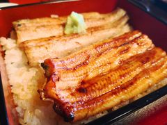 -料亭菊水楼