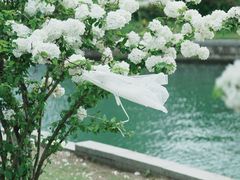 -漕湖湿地公园