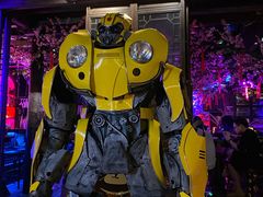 -周庄红庭演艺酒吧