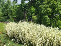 -上海滨江森林公园
