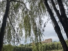 -东坝千亩湖公园