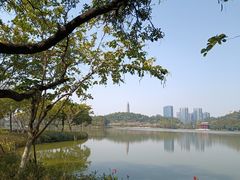 -顺峰山公园