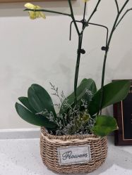 -海涛医疗美容·面部抗衰·注射美鼻