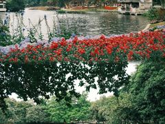 -荔湾湖公园